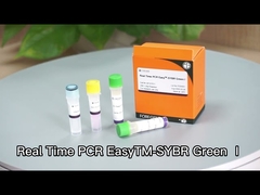 Real Time PCR EasyTM-SYBR Green Ⅰ