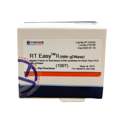 Droite EasyTM II avec les amorces inverses de transcription pour employer le prémélange principal pour la synthèse du Premier-brin CDNA/ACP en temps réel