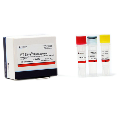 Prémélange principal de droite II facile pour la première synthèse du brin CDNA avec GDNase