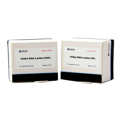 Point d'ébullition 50 à 15 marqueurs et échelles d'ADN de Kb pour l'électrophorèse de gel d'agarose