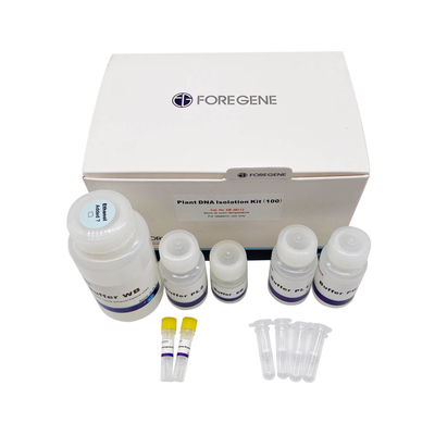 Contamination de RNase de Kit With No d'isolement d'ADN d'usine de réactif de laboratoire de biologie moléculaire