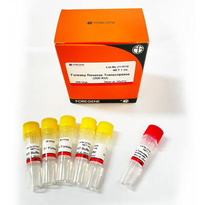 Inverse Transcriptase de Foreasy M-MLV pour des kits d'ACP d'extension d'amorce de synthèse de CDNA avec de l'ADN polymérase