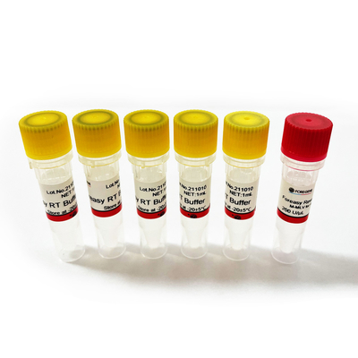 Inverse Transcriptase de Foreasy M-MLV pour des kits d'ACP d'extension d'amorce de synthèse de CDNA avec de l'ADN polymérase