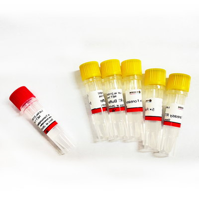 Inverse Transcriptase de Foreasy M-MLV pour des kits d'ACP d'extension d'amorce de synthèse de CDNA avec de l'ADN polymérase