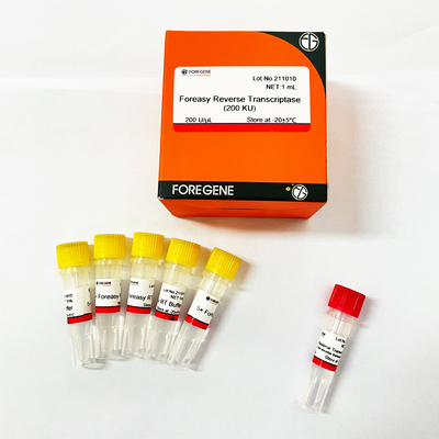 Inverse Transcriptase de Foreasy M-MLV pour des kits d'ACP d'extension d'amorce de synthèse de CDNA avec de l'ADN polymérase
