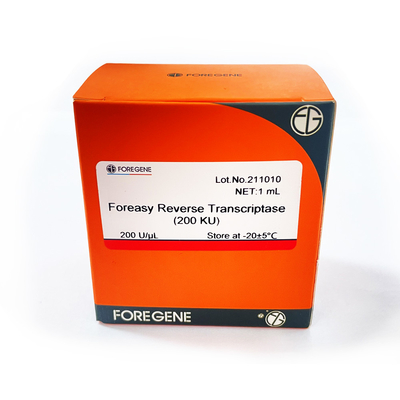 Inverse Transcriptase de Foreasy M-MLV pour des kits d'ACP d'extension d'amorce de synthèse de CDNA avec de l'ADN polymérase