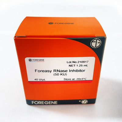 Inhibiteur de RNase de Foreasy de protection d'ARN pour les kits inverses de transcription de système de transcription
