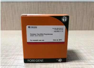 ADN polymérase de Foreasy Taq HotStar Taq pour des kits d'ACP d'enzymes de taq de PCR/qPCR pour l'ADN ordonnançant l'ACP conventionnel