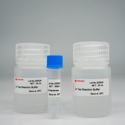 Polymérase Kit For PCR/QPCR de HotStar Taq d'ADN polymérase de Foreasy Taq