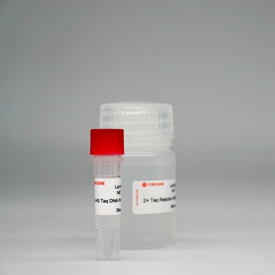 Mélange superbe d'enzymes de HotStar Taq d'ADN polymérase de Foreasy HS Taq pour PCR/QPCR
