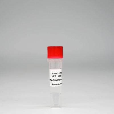 Mélange superbe d'enzymes de HotStar Taq d'ADN polymérase de Foreasy HS Taq pour PCR/QPCR
