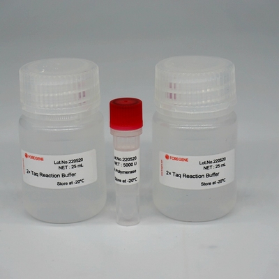 Mélange superbe d'enzymes de HotStar Taq d'ADN polymérase de Foreasy HS Taq pour PCR/QPCR