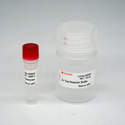 Mélange superbe d'enzymes de HotStar Taq d'ADN polymérase de Foreasy HS Taq pour PCR/QPCR