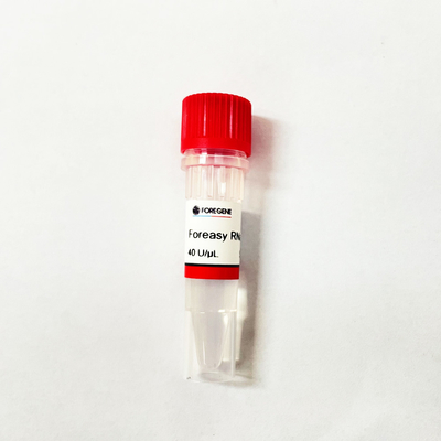 Inhibiteur de RNase de Foreasy de production d'usine de la Chine IVD haut pour la protection d'ARN