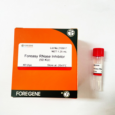 Inhibiteur de RNase de Foreasy de production d'usine de la Chine IVD haut pour la protection d'ARN