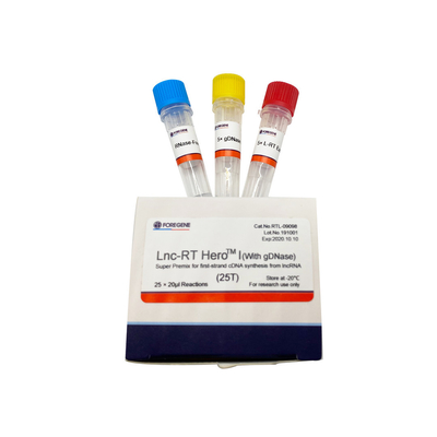 Prémélange superbe de Lnc-droite HeroTM I (avec le gDNase) pour la synthèse de cDNA de premier-brin du lncRNA Cat.No.RTL-09098/09099