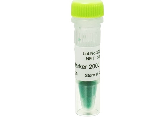échelle d'ADN de kit d'ACP de gel d'agarose de marqueur d'ADN 2000bp pour la recherche
