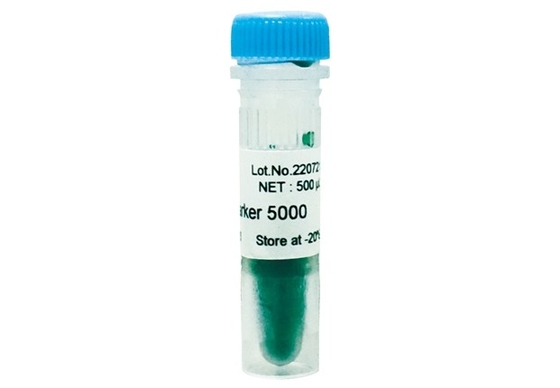 Échelle 5000bp d'ADN de kit d'ACP de gel d'agarose de marqueur d'ADN pour des essais de biologie moléculaire de recherches