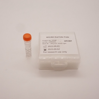 Sonde bicolore MYC/IGH pour détecter l'anomalie du gène humain MYC/IGH