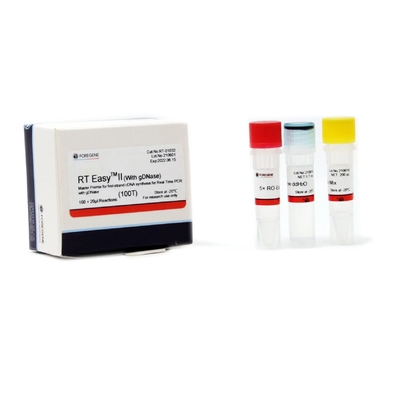 Transcription inverse droite II facile 50T 200T de prémélange de maître d'ACP de synthèse de CDNA