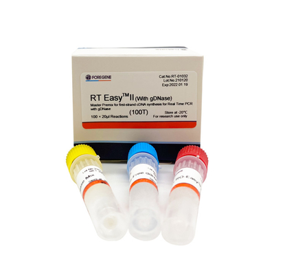 Kits faciles rapides de Transcriptase de l'inverse II 25T de droite avec de la DNase pour l'ACP en temps réel