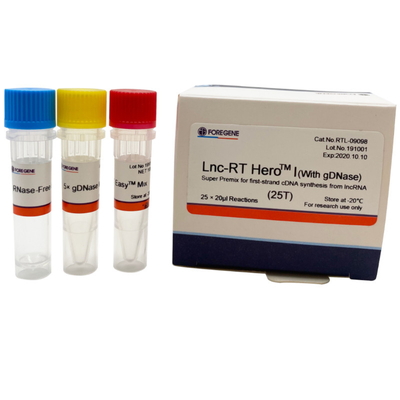 Kit inverse 25×20ul Rxns de transcription de prémélange superbe de la DNase Lnc-droite HeroTM I