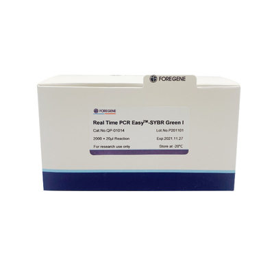 Kit fluorescent d'ACP d'ACP EasyTM-SYBR du vert I de kit de nouveau de prémélange vert en temps réel du système SYBR