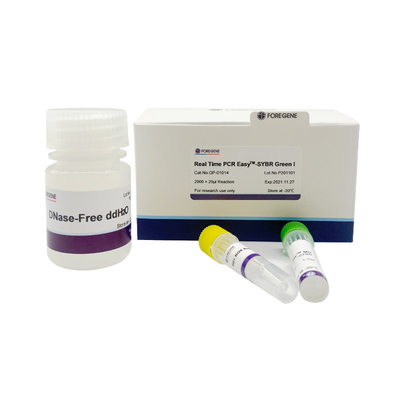 Kit fluorescent d'ACP d'ACP EasyTM-SYBR du vert I de kit de nouveau de prémélange vert en temps réel du système SYBR