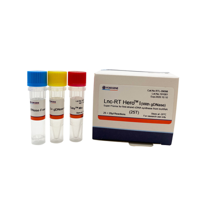 Lnc-droite HeroTM I (avec gDNase) (prémélange superbe pour la synthèse de cDNA de premier-brin du lncRNA)
