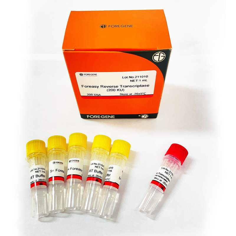 Inverse Transcriptase de Foreasy M-MLV pour des kits d'ACP d'extension d'amorce de synthèse de CDNA avec de l'ADN polymérase