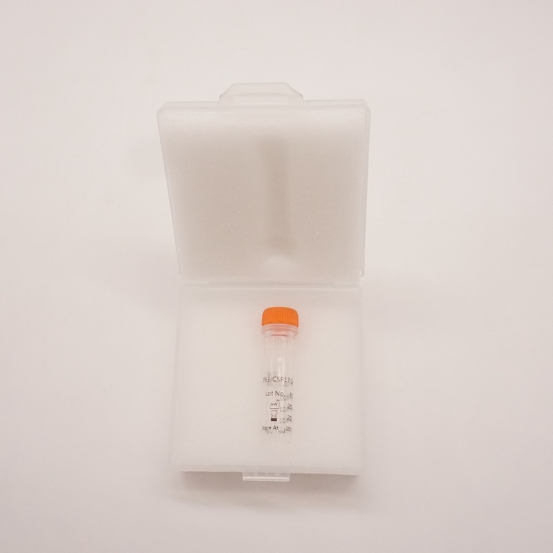 Sonde bicolore TP53/CSP17 pour détecter l'anomalie du gène humain TP53