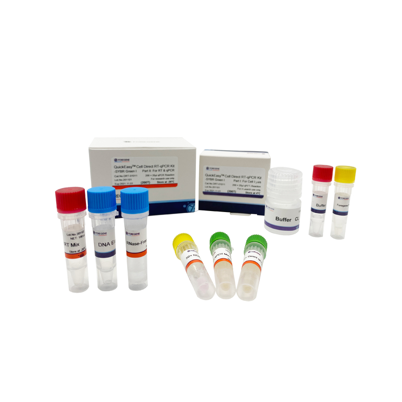 Protégez le CL qu'un kit 200T 1000T de l'étape droite QPCR a cultivé la cellule RT-QPCR direct
