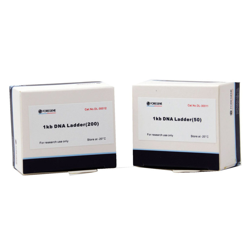 5% Glycerinum 0,02% kits d'ACP d'échelle d'ADN de BPB 1kb pour l'usage de recherches de laboratoire