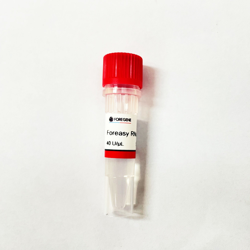 Lubrifiant acide nucléique témoin pour la purification d'ARN d'ADN avant la réaction en temps réel d'ACP