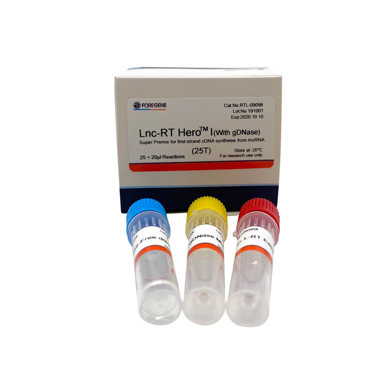 Lnc-droite HeroTM I (avec gDNase) (prémélange superbe pour la synthèse de cDNA de premier-brin du lncRNA)
