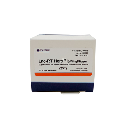 Prémélange superbe de Lnc-droite HeroTM I (avec le gDNase) pour la synthèse de cDNA de premier-brin du lncRNA Cat.No.RTL-09098/09099