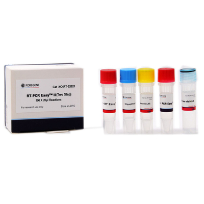 Pas de deux Cat.No.RT - kits principaux de RT-PCR EasyTM II de 02021/02022 du pas de deux droite d'ACP ACP de mélange