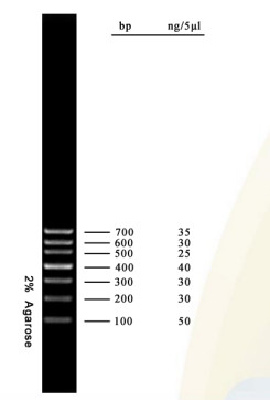 Échelle 700bp d'ADN de kit d'ACP de gel d'agarose de marqueur d'ADN pour des essais de biologie moléculaire